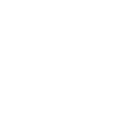 Station 300 Saline